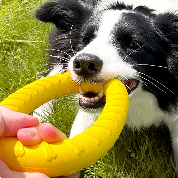 ​Juguete de anillo para mascotas EVA