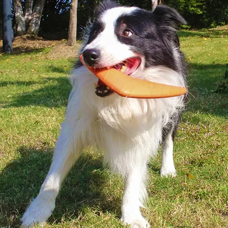 EVA Pet Dart: una guía práctica para elegir un juguete para perros seguro y divertido